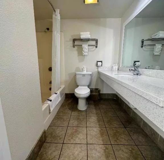 اتاق استاندارد با تخت بزرگ, Vista Inn