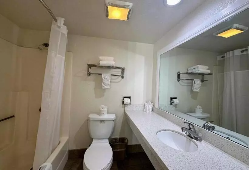 اتاق استاندارد با تخت بزرگ, Vista Inn