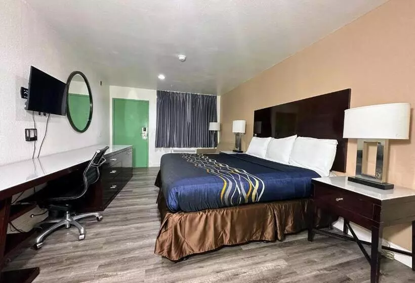 اتاق استاندارد با تخت بزرگ, Vista Inn