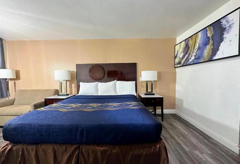 غرفة قياسية سرير كينج, Vista Inn