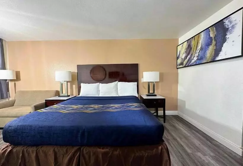 اتاق استاندارد با تخت بزرگ, Vista Inn