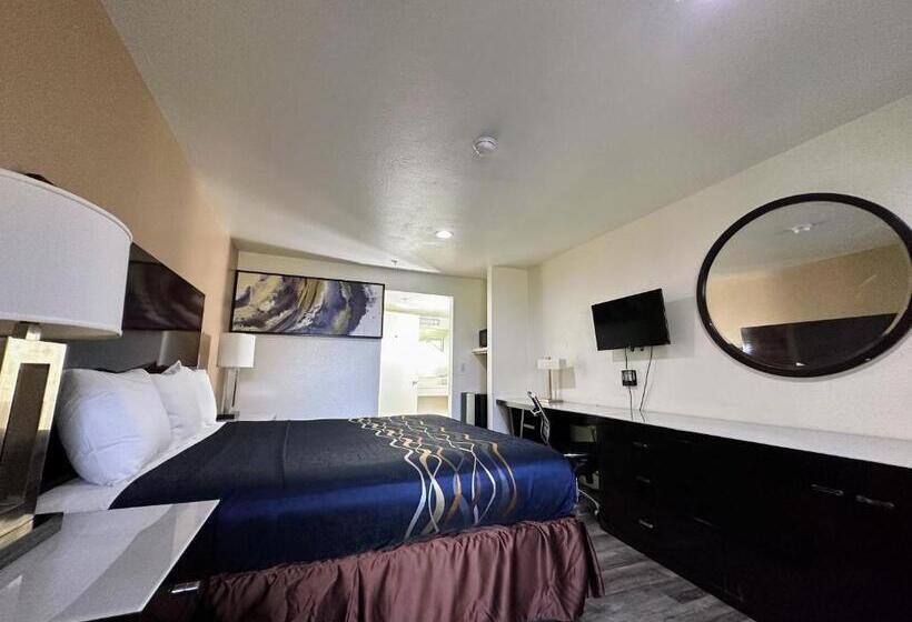 غرفة قياسية سرير كينج, Vista Inn