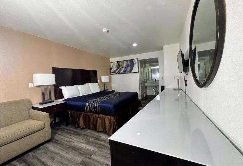 غرفة قياسية سرير كينج, Vista Inn