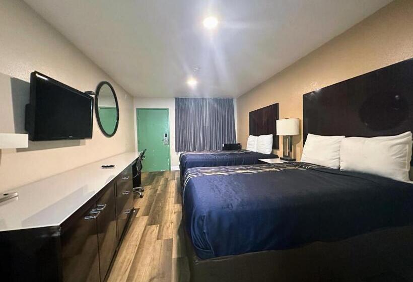 غرفه قياسيه سريرين مزدوجين, Vista Inn