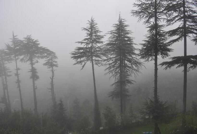 اتاق استاندارد چهارنفره با بالکن, Heritage Satikva Resorts