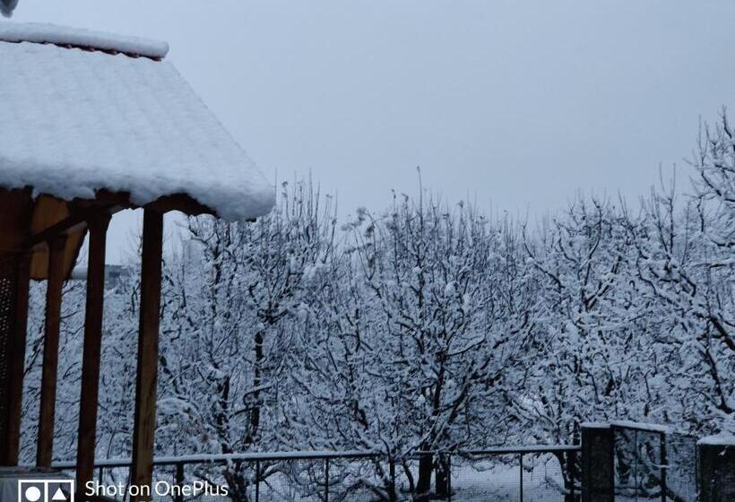 اتاق لوکس چهار تخته, Heritage Satikva Resorts