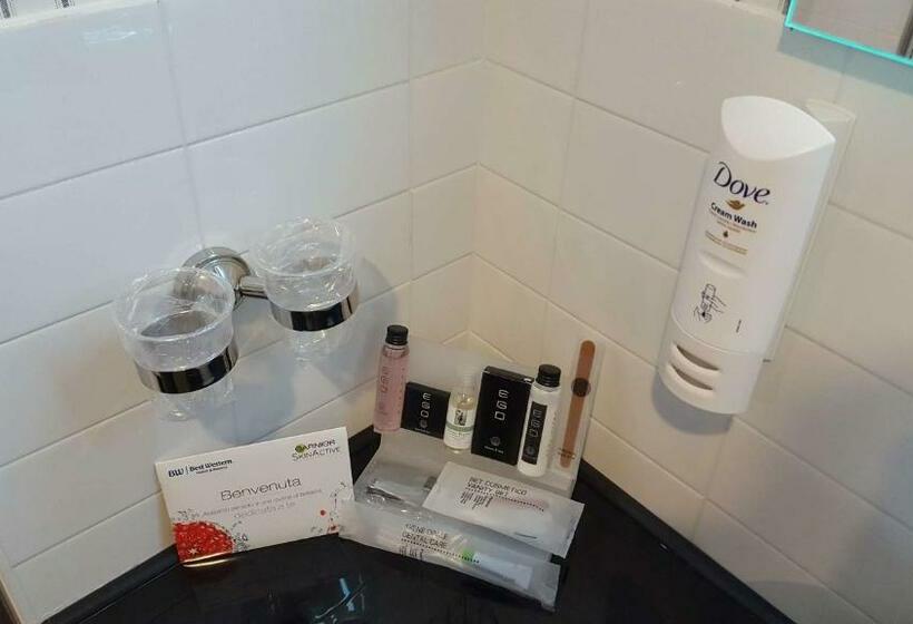 Номер Стандарт Адаптированный для Инвалидов, Best Western Premier Chc Airport