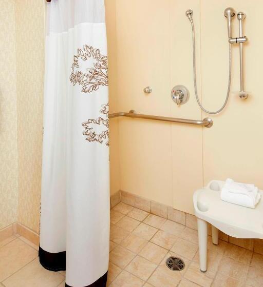 带大床的套房, Residence Inn By Marriott San Antonio Six Flags At The Rim