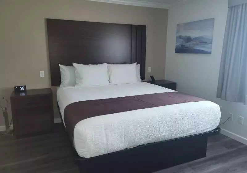 Standard-huone King-vuode, Surestay Plus Hotel By Best Western Upland   Ontario North