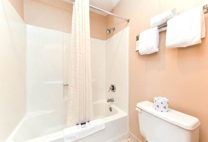 带2个双人床的标准工作室, Americas Best Value Inn Plattsburgh