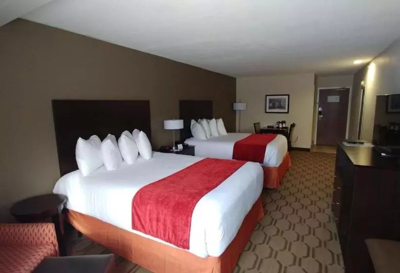 身障者適用スタンダードルーム, Best Western Palmyra Inn & Suites