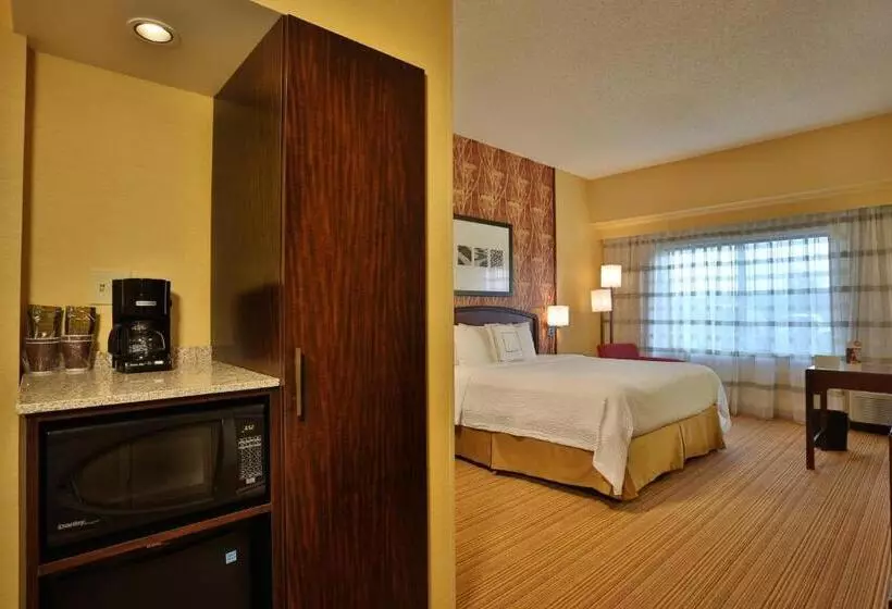 اتاق استاندارد با تخت بزرگ, Courtyard By Marriott Springfield Airport