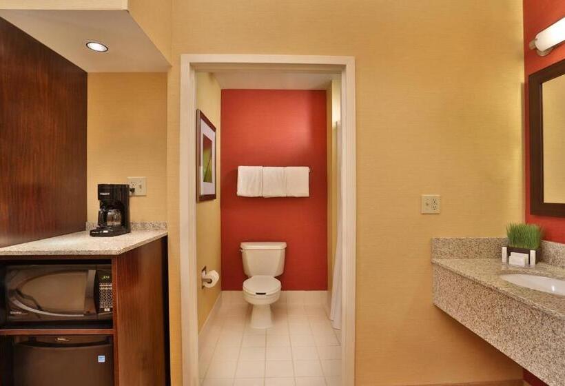 장애인을 위한 킹사이즈 침대 스탠다드 룸, Courtyard By Marriott Springfield Airport