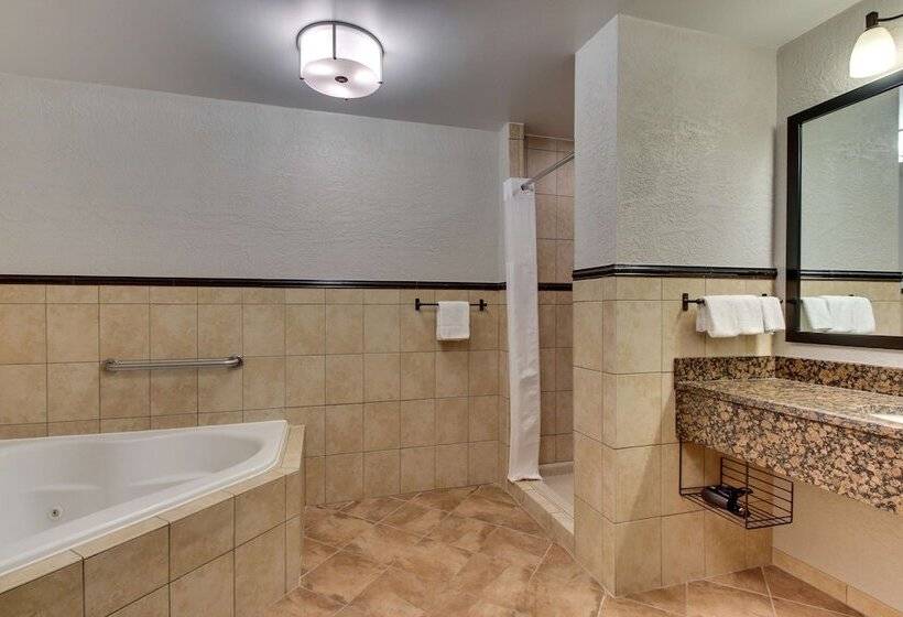 اتاق لوکس, Drury Inn & Suites Phoenix Happy Valley