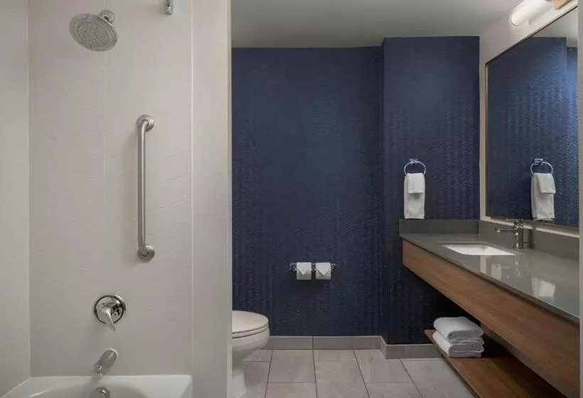 キングサイズベッドのスタンダードルーム, Fairfield Inn & Suites Roanoke Hollins/i81