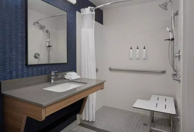 キングサイズベッドのスタンダードルーム, Fairfield Inn & Suites Roanoke Hollins/i81