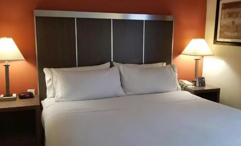 キングサイズベッドのスタンダードルーム, Holiday Inn Express Williamston, An Ihg
