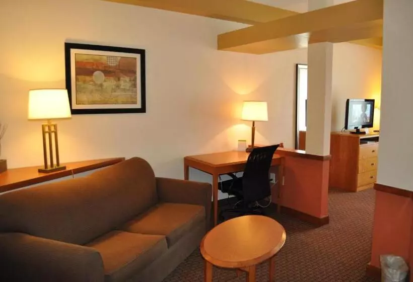 キングサイズベッドのスタンダードルーム, Holiday Inn Express Williamston, An Ihg