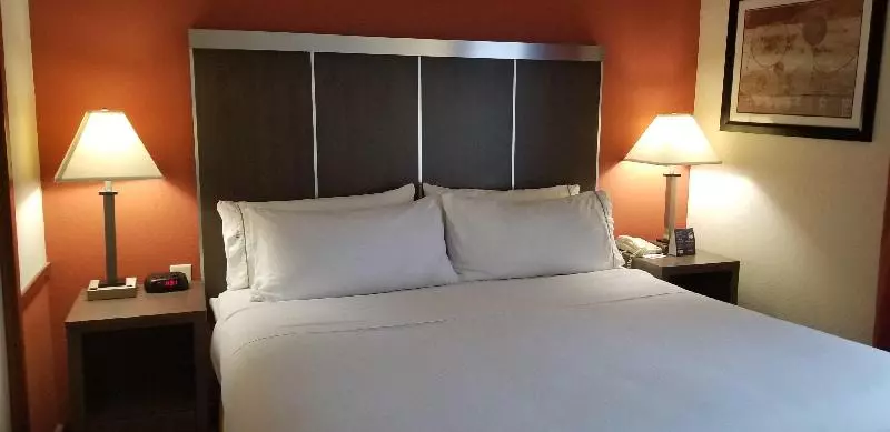 キングサイズベッドのスタンダードルーム, Holiday Inn Express Williamston, An Ihg