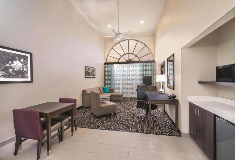 带大床的套房, La Quinta By Wyndham Loudon