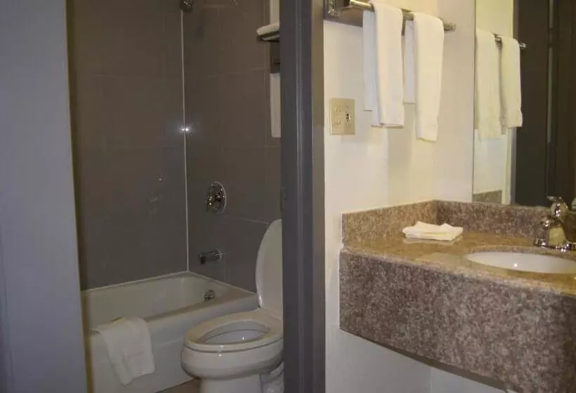 キングサイズベッドのスタンダードルーム, Executive Inn