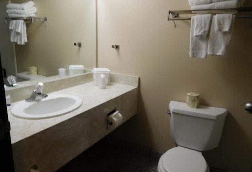 Номер Стандарт 2 Двуспальные Кровати, Fairbridge Inn Express