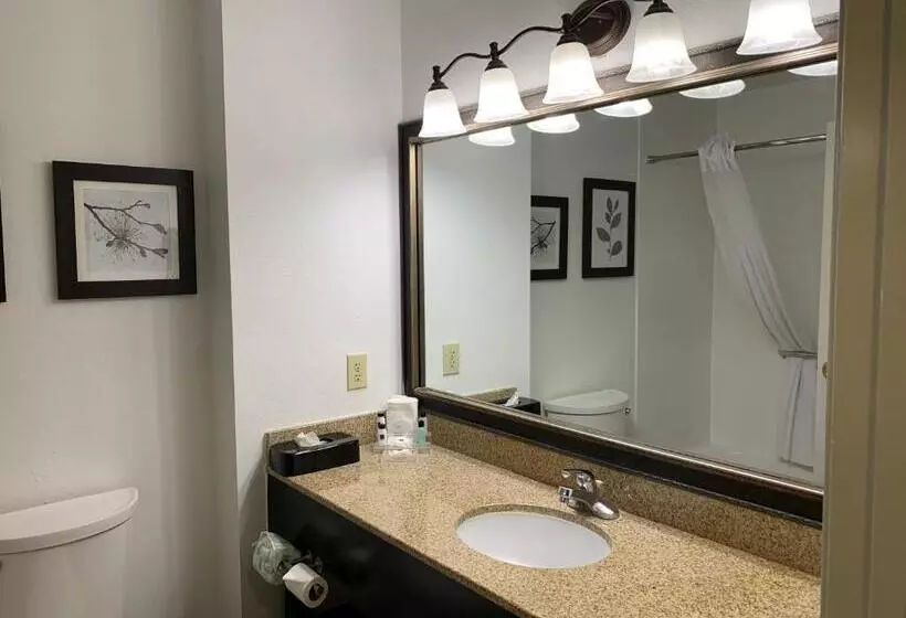 キングサイズベッドのスイートルーム, Country Inn & Suites By Radisson, Georgetown, Ky