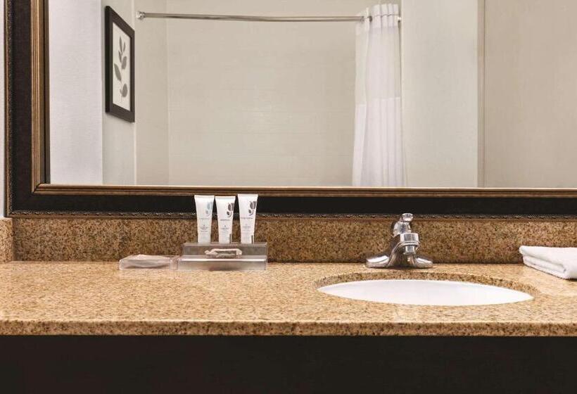 스탠다드 룸 킹사이즈 침대, Country Inn & Suites By Radisson, Georgetown, Ky