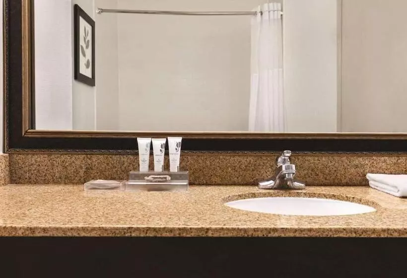 キングサイズベッドのスタンダードルーム, Country Inn & Suites By Radisson, Georgetown, Ky