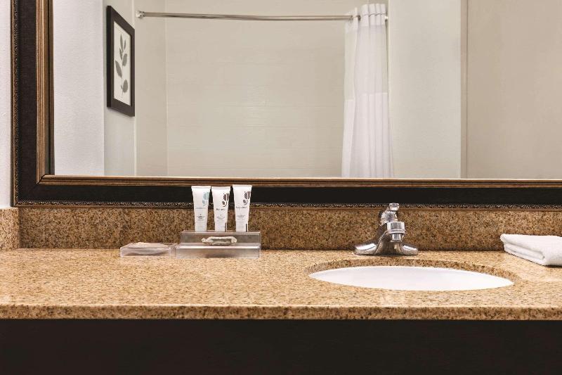 스탠다드 룸 킹사이즈 침대, Country Inn & Suites By Radisson, Georgetown, Ky