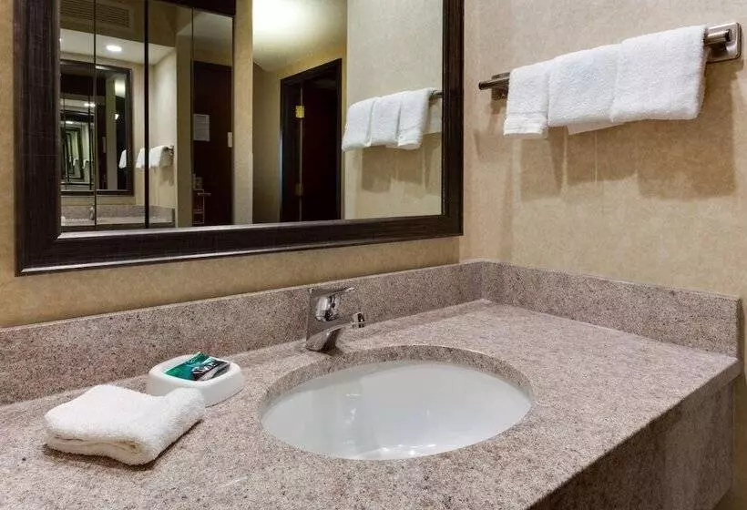 デラックスルーム, Drury Inn & Suites Birmingham Grandview