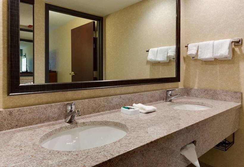 جناح لذوى الاحتياجات الخاصة, Drury Inn & Suites Birmingham Grandview
