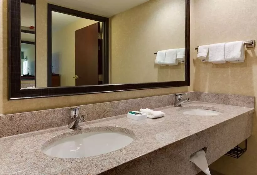 身障者適用スイートルーム, Drury Inn & Suites Birmingham Grandview