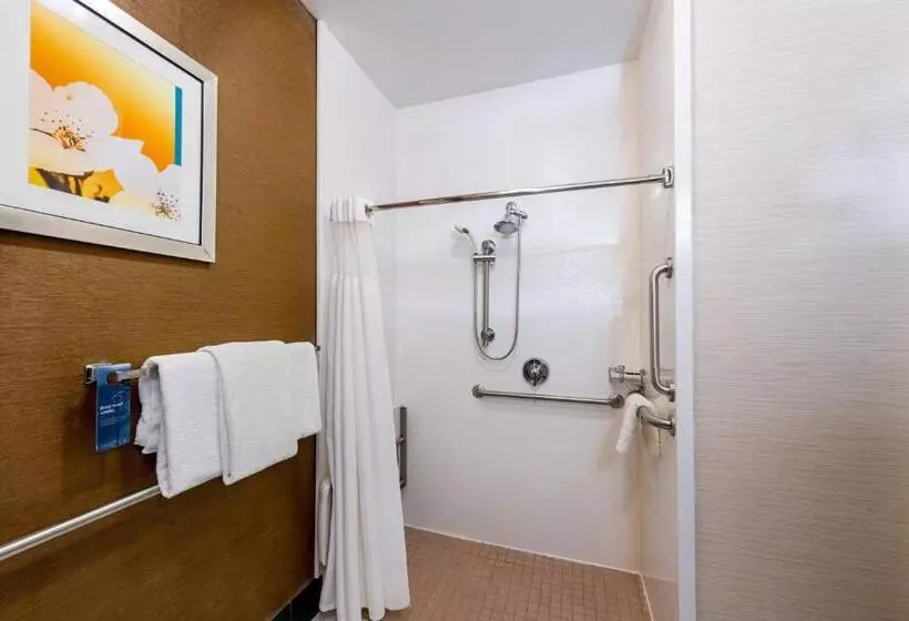 キングサイズベッドのスタンダードルーム, Fairfield Inn Battle Creek