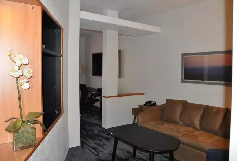 Standard-studio King-vuode, Fairfield Inn & Suites Ukiah Mendocino County