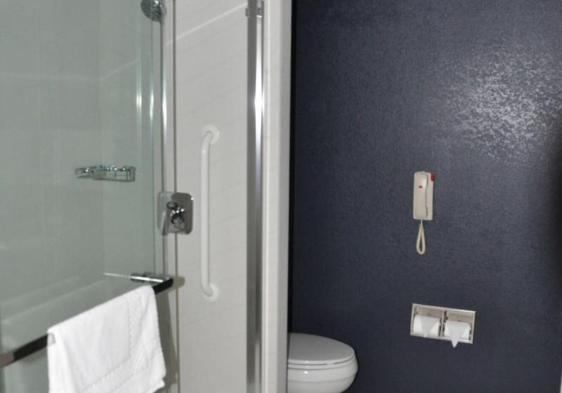 带大床的标准间, Fairfield Inn & Suites Ukiah Mendocino County