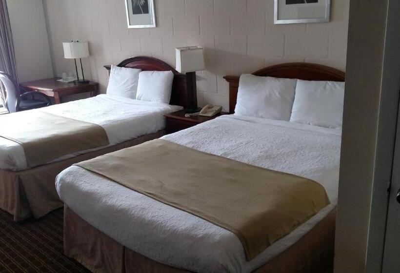 غرفه قياسيه سريرين مزدوجين, Hope Inn