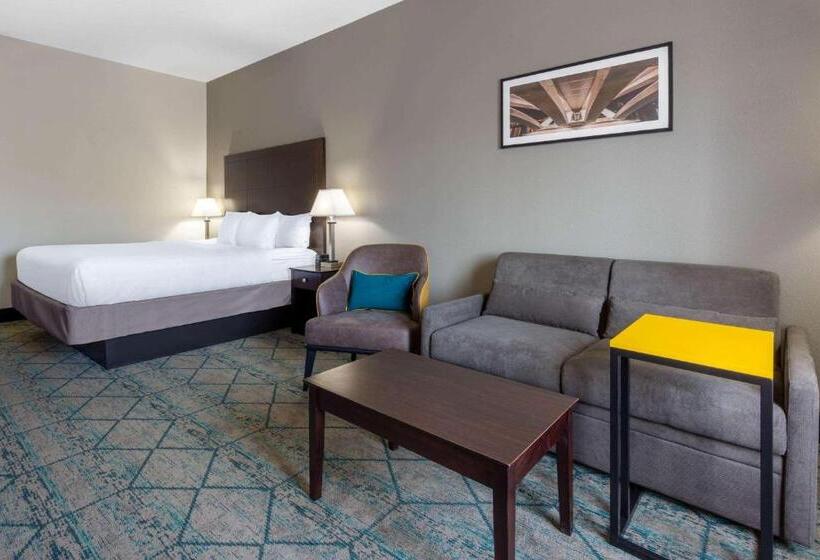 스탠다드 룸 킹사이즈 침대, La Quinta By Wyndham Columbus West   Hilliard