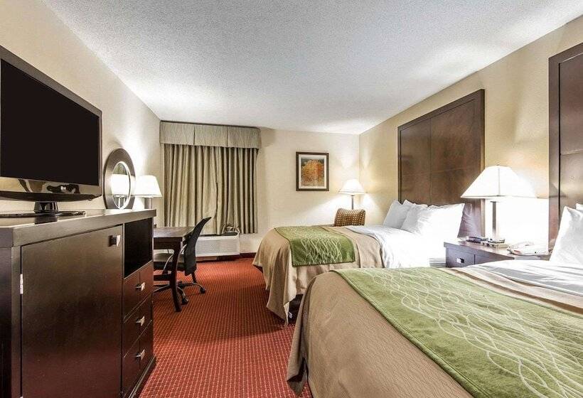 غرفه قياسيه سريرين مزدوجين, Quality Inn & Suites