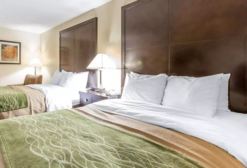 ２ダブルベッドのスタンダードルーム, Quality Inn & Suites