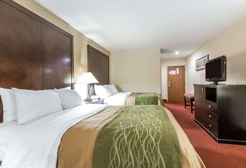 غرفه قياسيه سريرين مزدوجين, Quality Inn & Suites