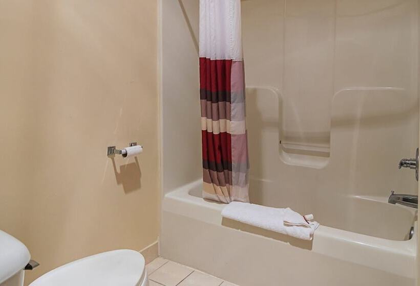 디럭스 룸, Red Roof Inn & Suites Lake Orion/ Auburn Hills