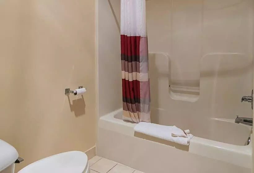 スーペリアールーム, Red Roof Inn & Suites Lake Orion/ Auburn Hills