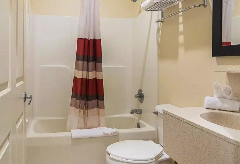 スーペリアールーム, Red Roof Inn & Suites Lake Orion/ Auburn Hills