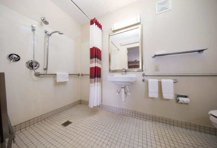 디럭스 룸, Red Roof Inn & Suites Lake Orion/ Auburn Hills