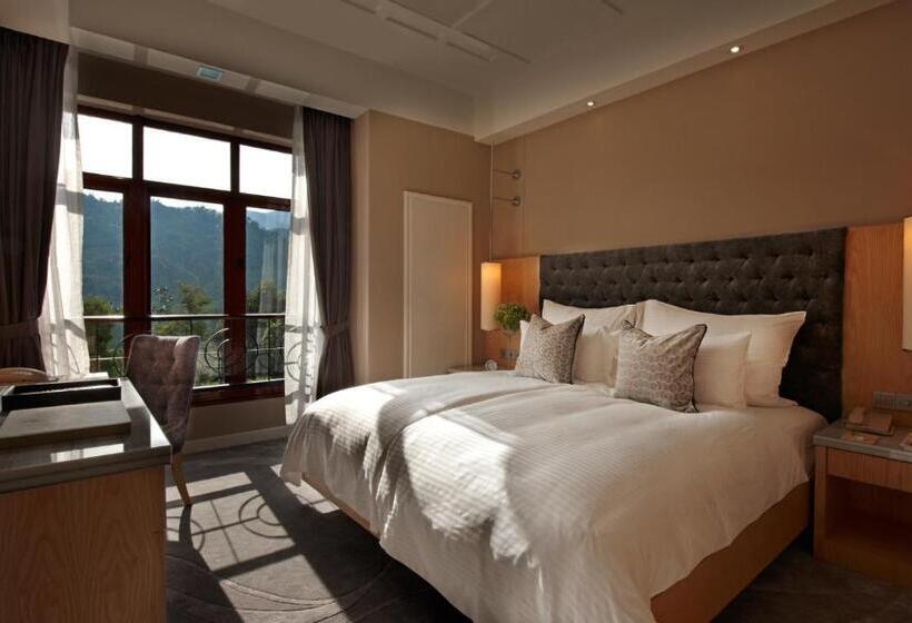 Номер Deluxe, The Chateau Spa & Wellness Resort