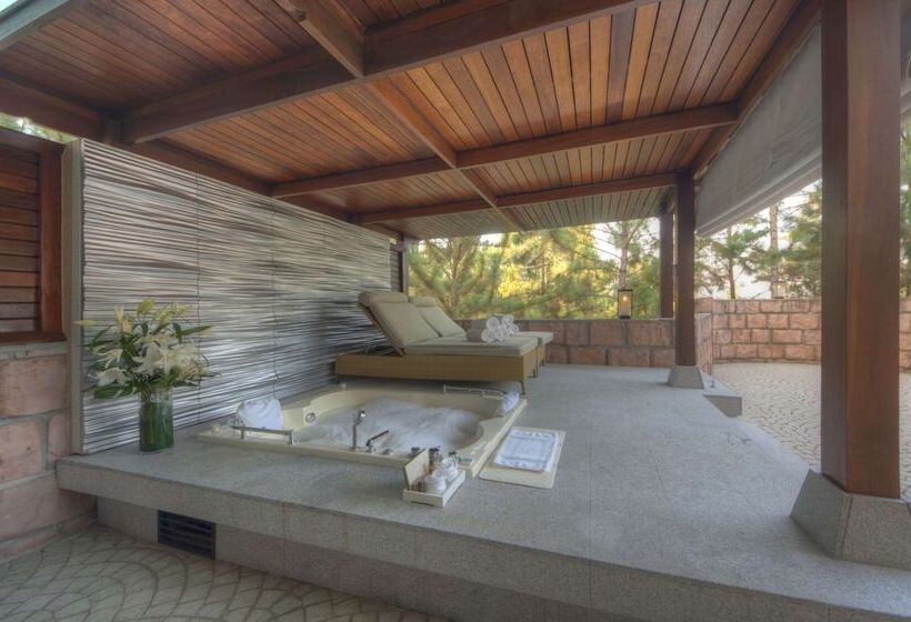 جناح مزود بجاكوزى, The Chateau Spa & Wellness Resort