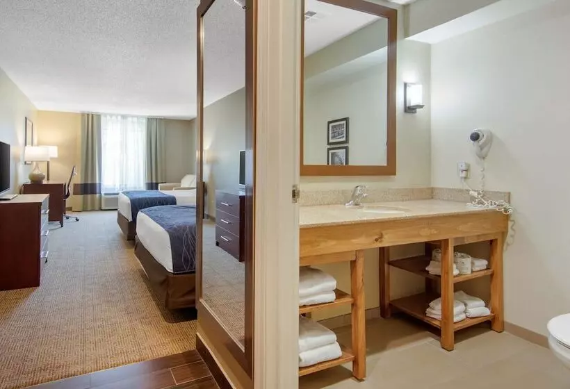 スイート, Comfort Inn & Suites Cooperstown   Milford