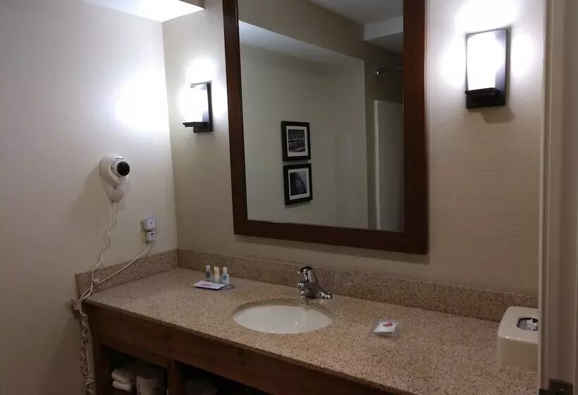 スイート, Comfort Inn & Suites Cooperstown   Milford