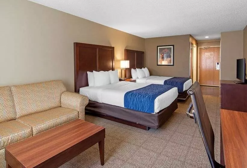 スイート, Comfort Inn & Suites Cooperstown   Milford